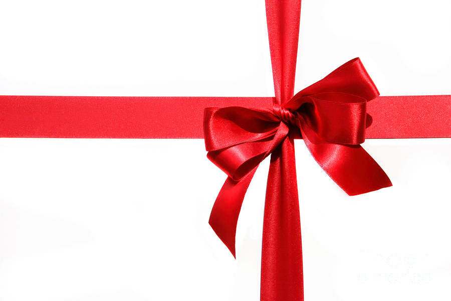 Dynasty Champions Club Membership- Give the best GIFT in paintball!!!